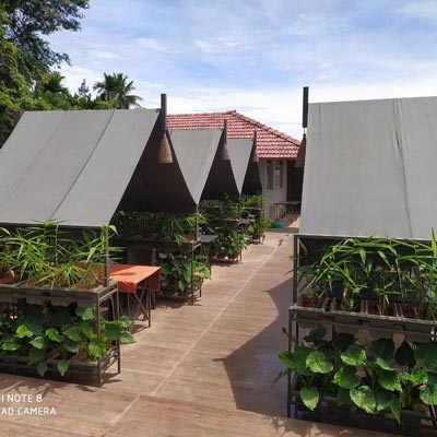 Spice Valley Resort, Munnar